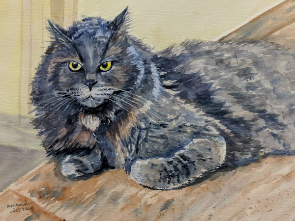angry grey cat watercolor