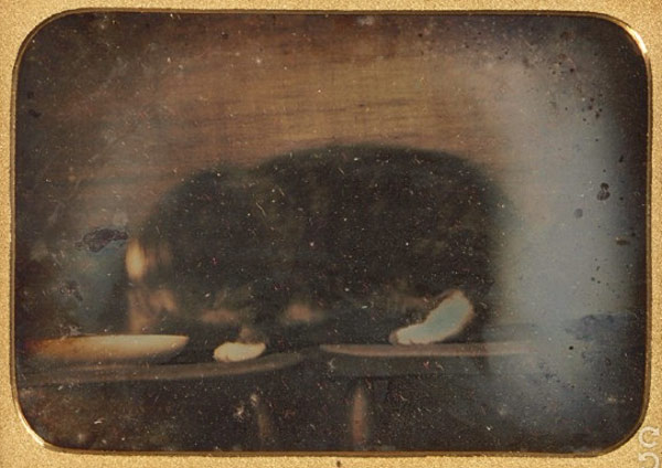 first known photo of cat