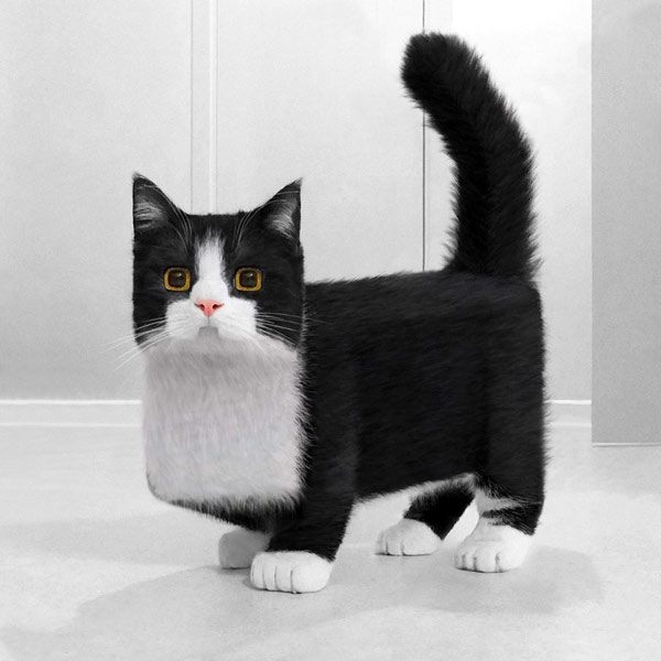 cubist cat art digital