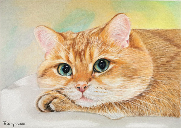 orange cat painting