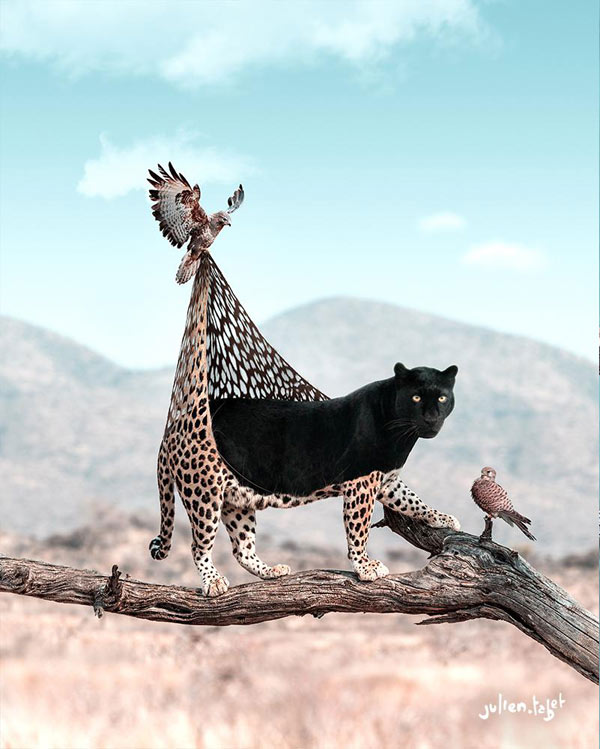 black panther changes to leopard art