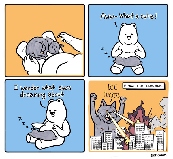 a cats' dream comic