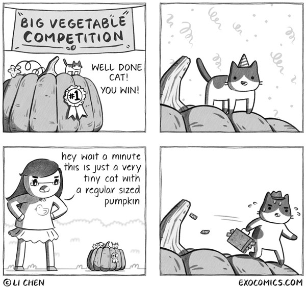 cat pumpkin contest comic