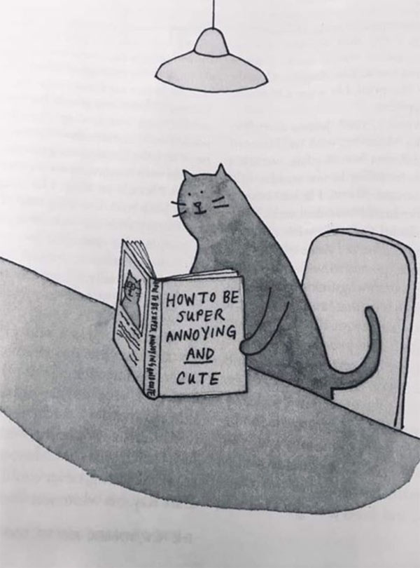 cat reads book comic