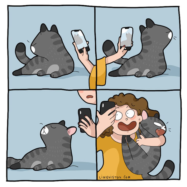 cat selfie comic