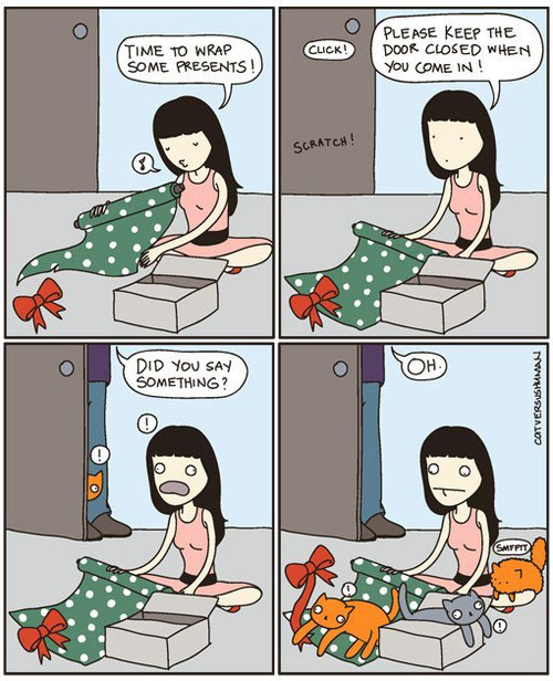cats and wrapping paper comic