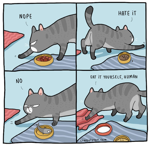 fussy eater cat comic
