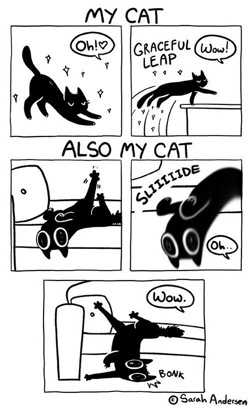 graceful clumsy cat comic