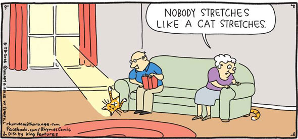 long cat stretches comic