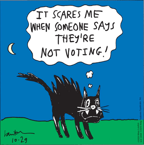 cat wants people to vote comic