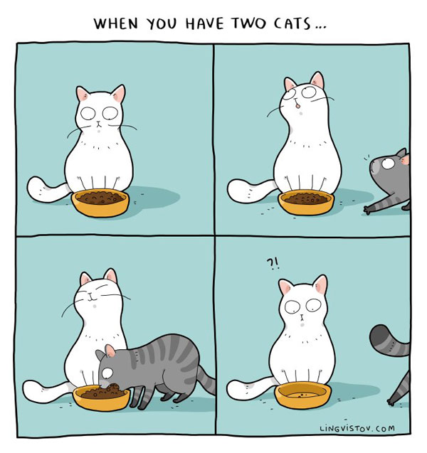 owning two cats comics
