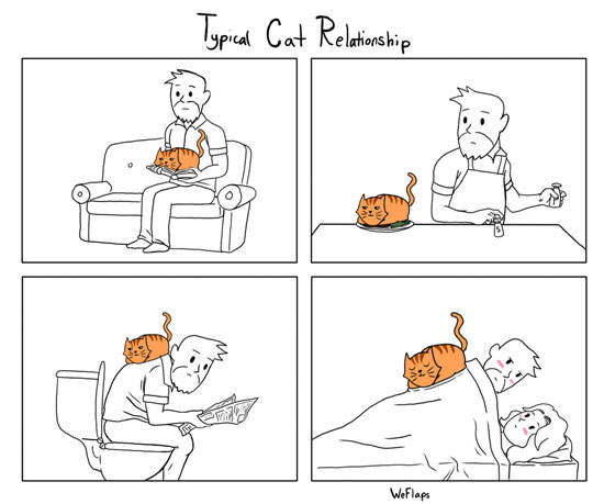 cat relationships comic