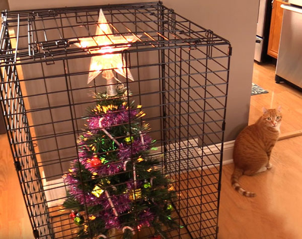 caged xmas tree and cat
