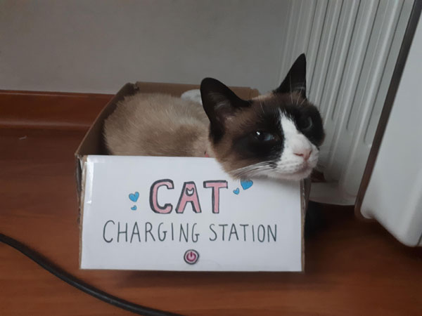 cat charging station