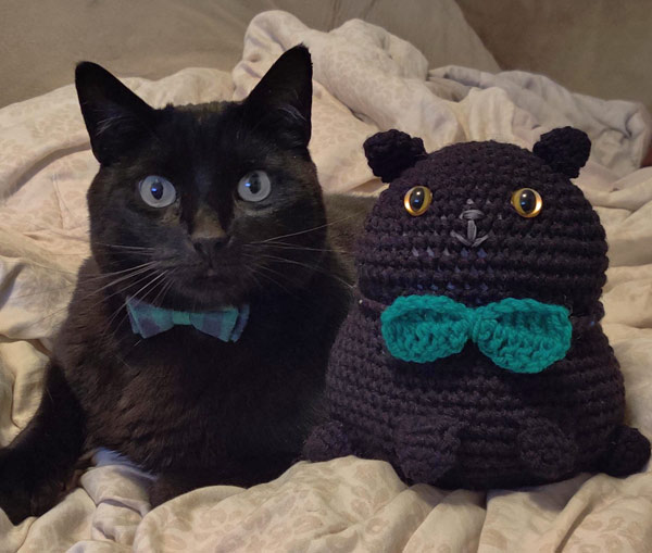 black cat with crocheted cat