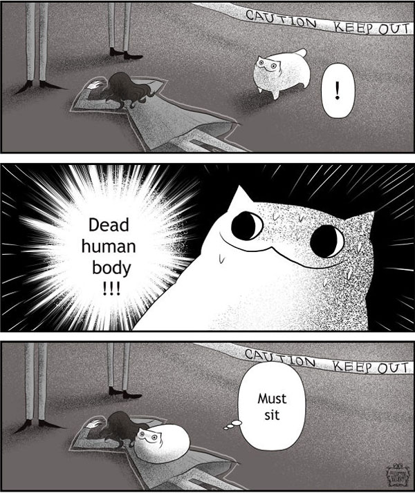 cats sit on things comic