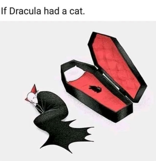 dracula's cat comic