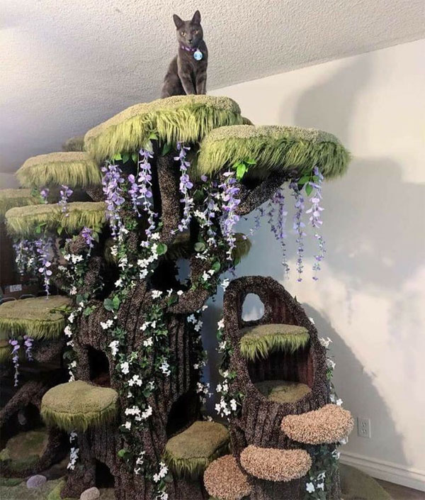 amazing cat tree