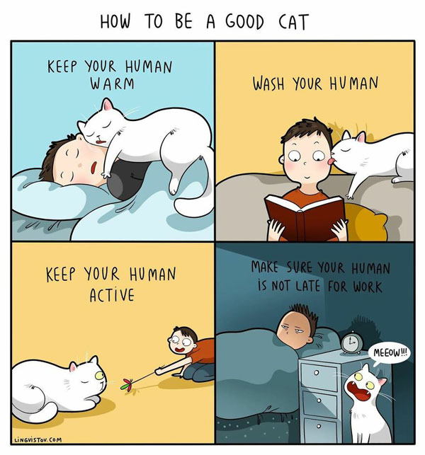 the good cat comic