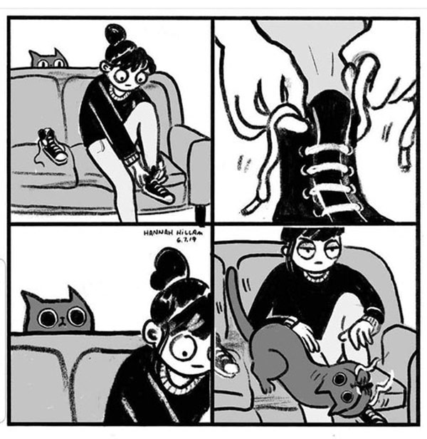 cats and shoelaces comic