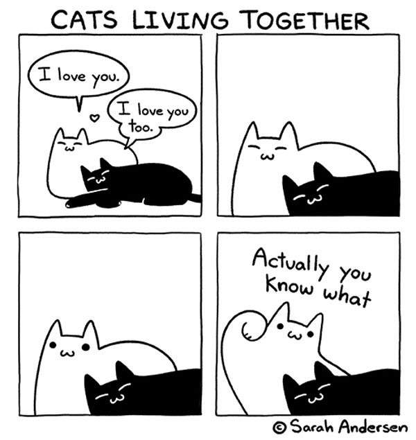 two loving cats comic