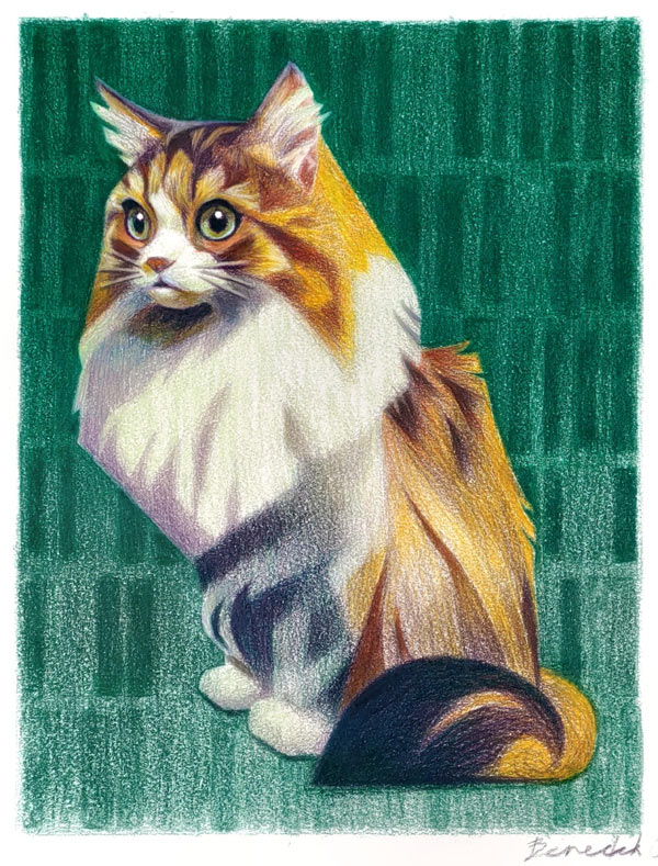 cat on green background art