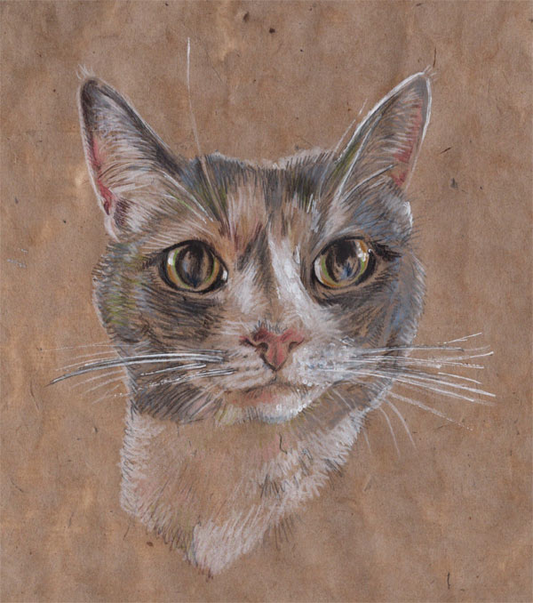 pastel cat portrait