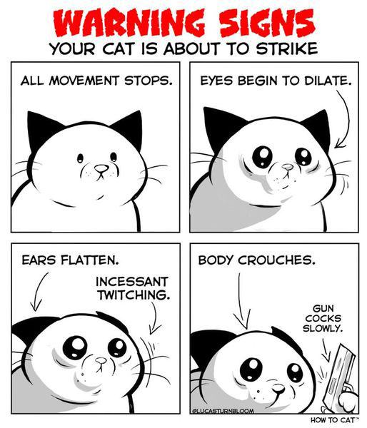 when a cat strikes comic