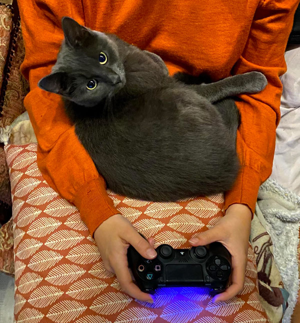 woman playing video game with cat on lap