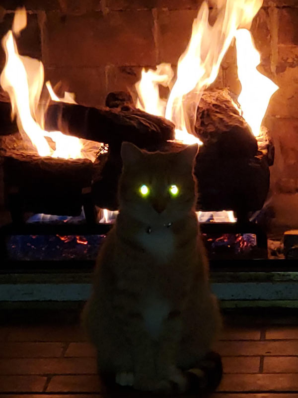cat in front of fire with glowing eyes