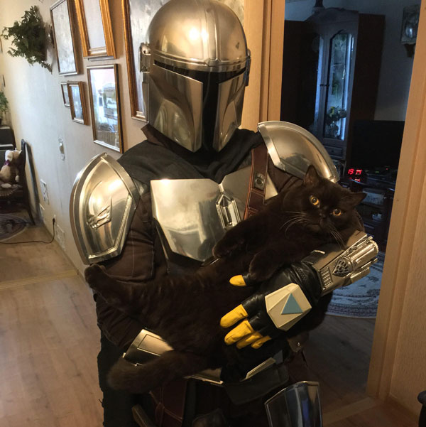 cat in mandalorian's arms