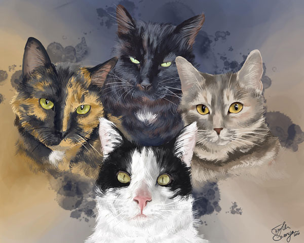 four cat head portrait