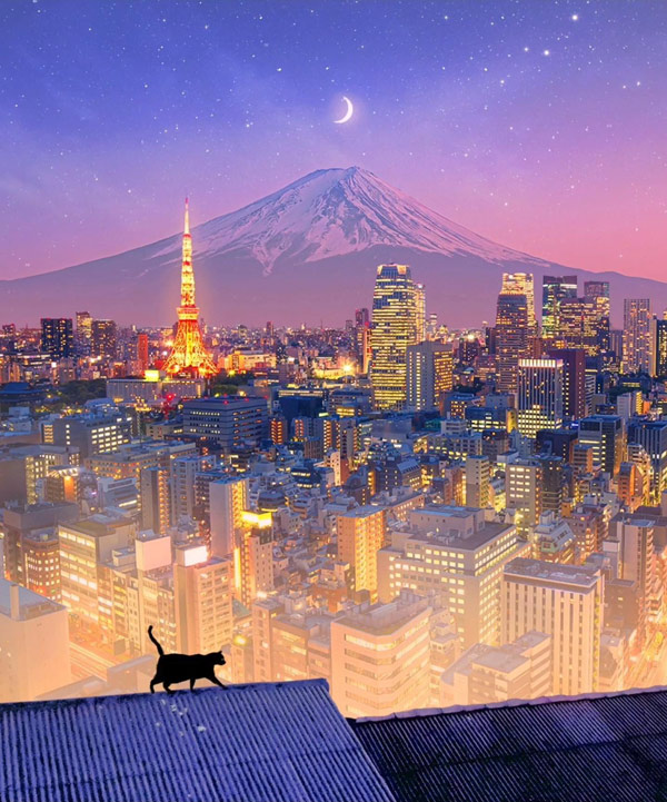 cat tokyo cityscape art