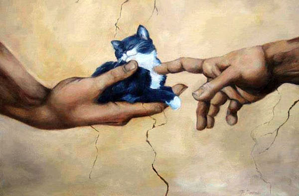 creation of adam and cat