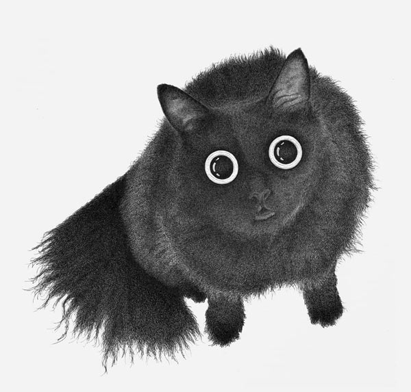 big eye cat comic