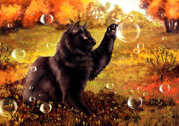 black cat with bubbles art