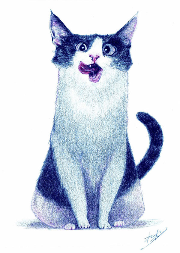 blue cat art