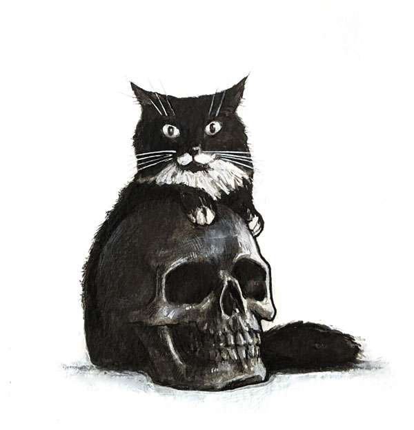 cat and skull art