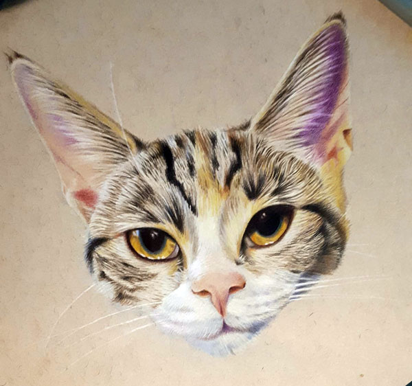 cat head colored pancil