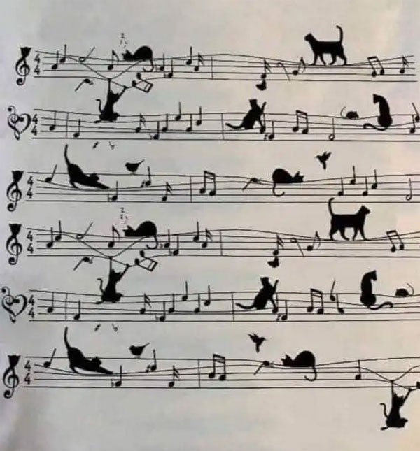 musical score with cats t-shirt design