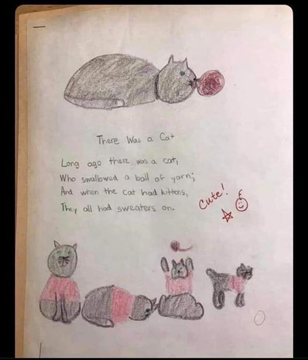 cat poem about sweaters