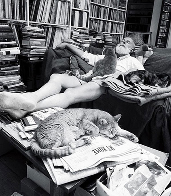 edward gorey and his cats