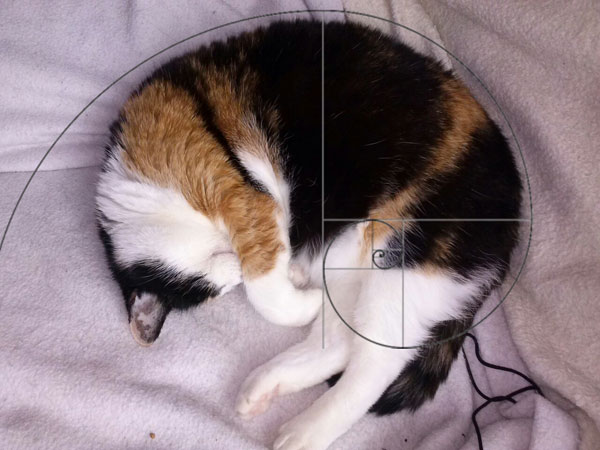 cta as fibonacci spiral