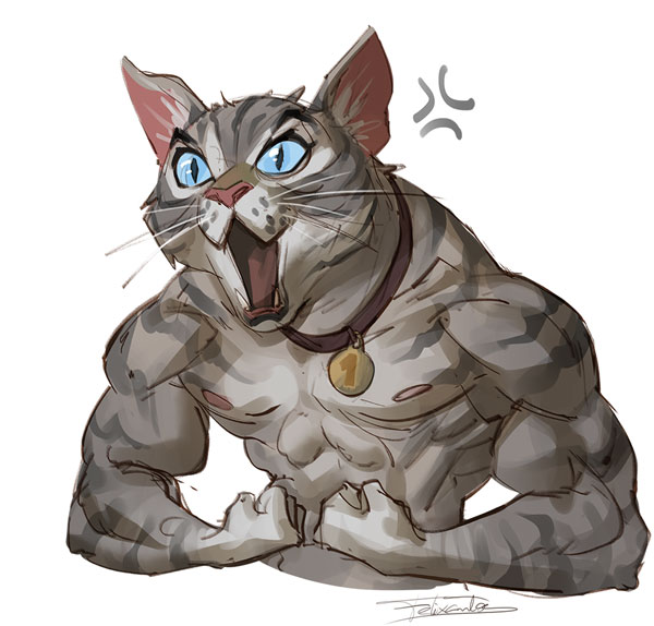 muscular cat art