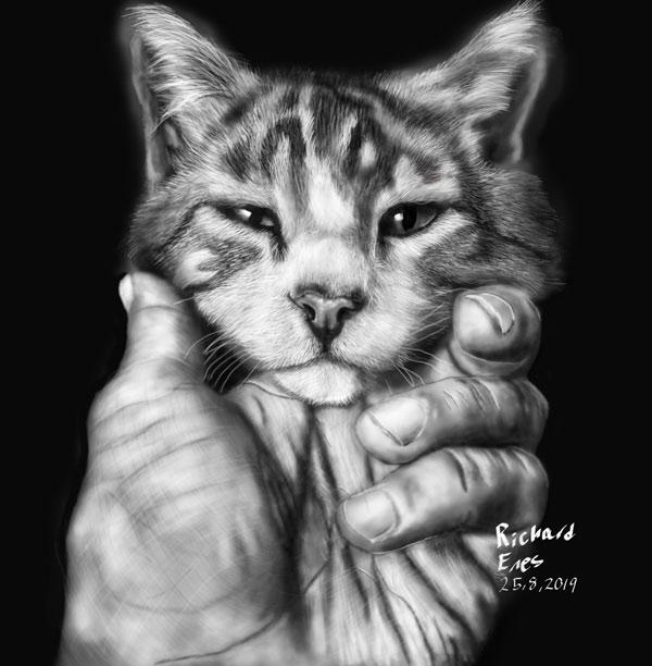 cat in hand pencil drawing art