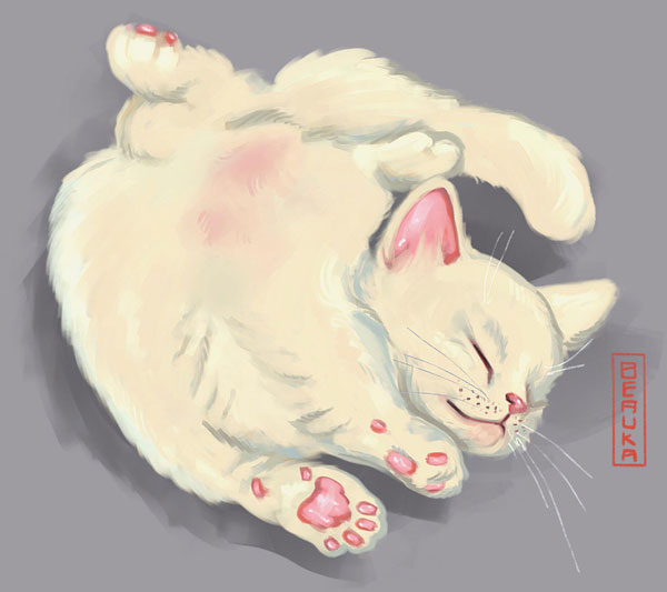 white cat art