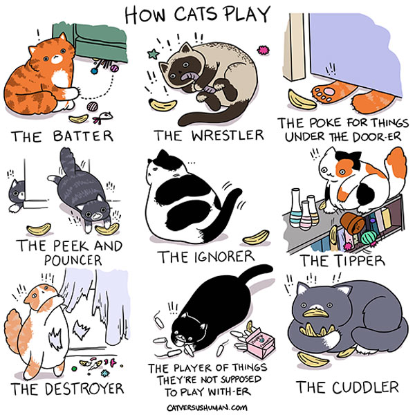 how cats play