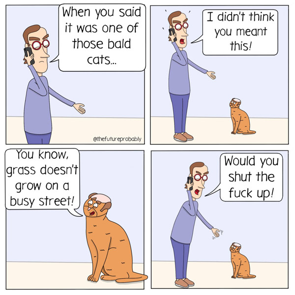 bald cat comic