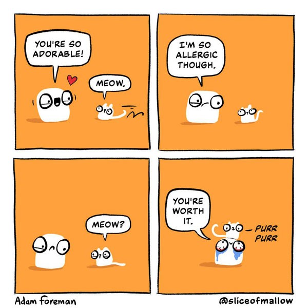 cat allergy comic