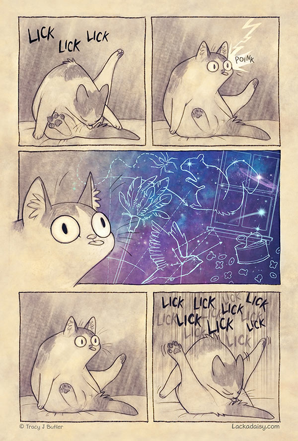 cat has realization comic